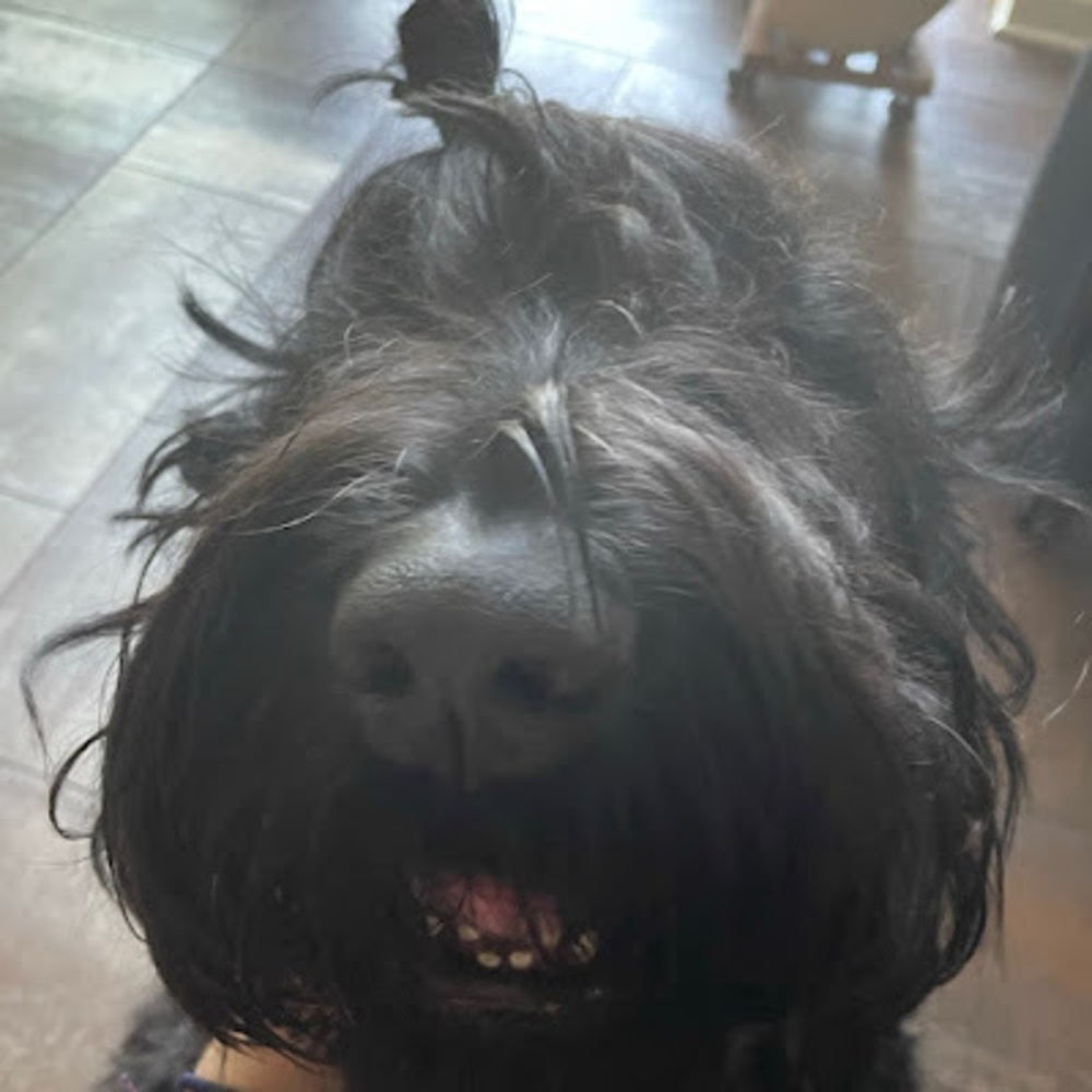 Meet your Posher, Addison